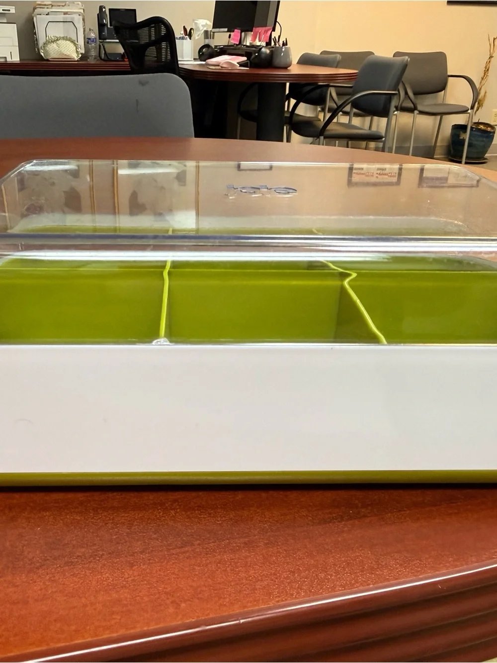 Joie 6-Compartment Organizer Box with Clear Lid – Green & White 💚
